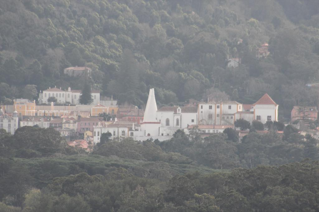 Cozy Green Apartment Sintra Luaran gambar